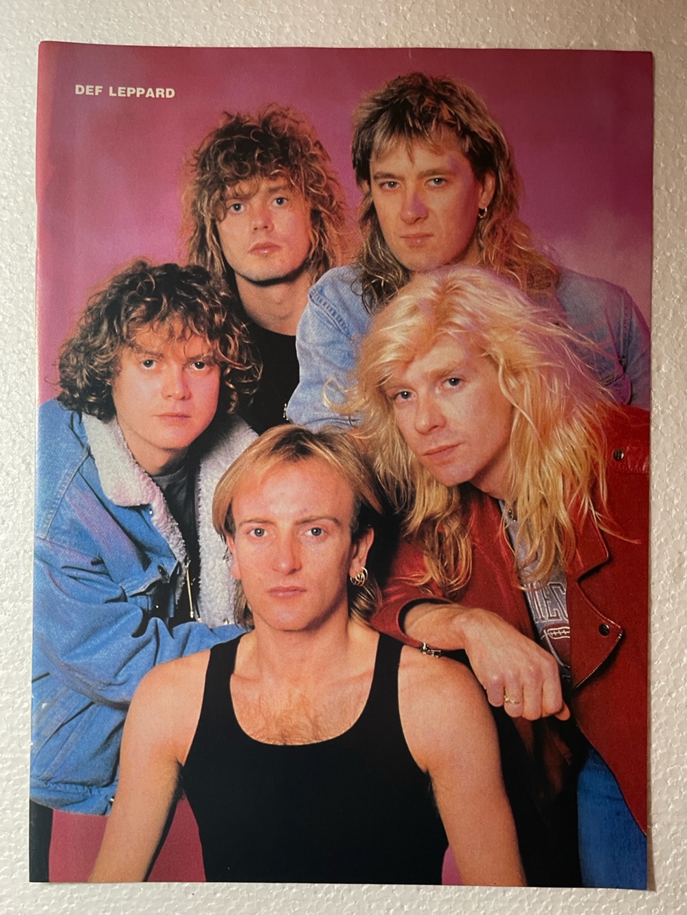 Def Leppard Band Pinup - Pink Background